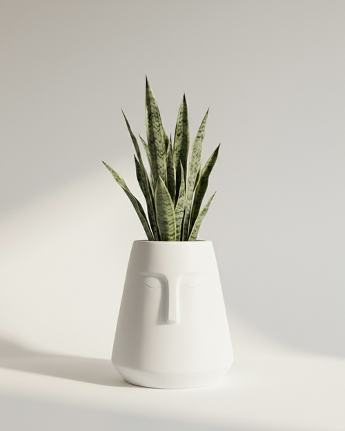 E-Pot Fiberglass Planter – Matte White