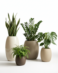 Lilly Fiberglass Planter – Soft Curved Modern Finish