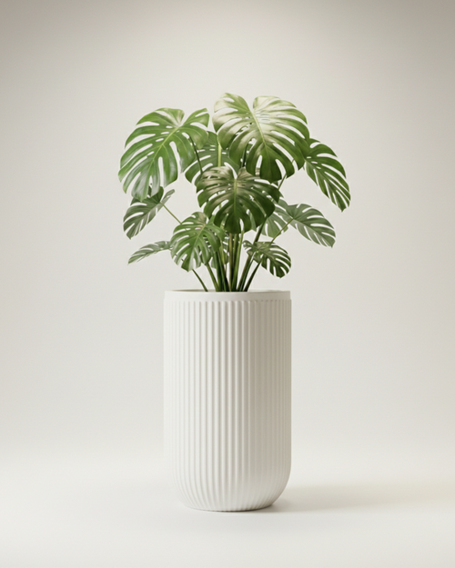 Orchid Fiberglass Planter – Oyster White