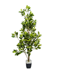 Artificial Compact Ficus Tree 150cm (5ft)