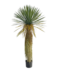 Artificial Desert Yucca Tree 160cm (5.3ft)