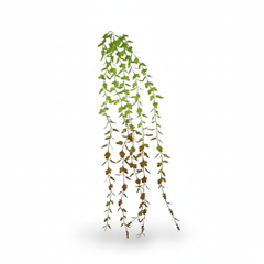 Artificial Hanging Ficus Leaf Garland - 3.3ft Green to Brown Gradient