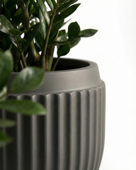 Orchid – D Fiberglass Round Planter – Grey | Modern Ribbed Design