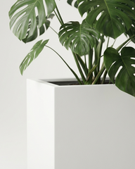 Rectangle Fiberglass Planter – Matte White