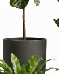 Big Shark Fiberglass Planter – Matte Black Tall Modern Planter