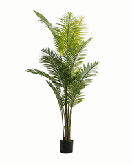 Artificial Areca Palm Plant 180cm (5.9ft)
