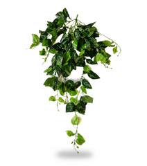 Artificial Hanging Money Plant Bush with Velvet Green Leaves - 3.3 Feet