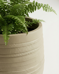 Cone Fiberglass Planter – Yellow Grey Finish