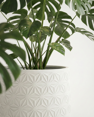 Flower Textured Fiberglass Planter – Geometric Finish