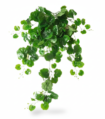 Artificial Nasturtium Hanging Leaf Bush - 3.3 Feet