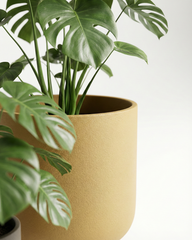 Hollyhock Fiberglass Planter – Textured Modern Finish