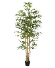 Artificial Bamboo Green Tree 180cm (6ft)