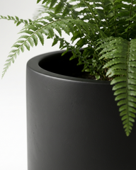 Cylinder Fiberglass Planter – Matte Black