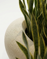 Patato-D Fiberglass Planter – Oyster White | Sculptural Form