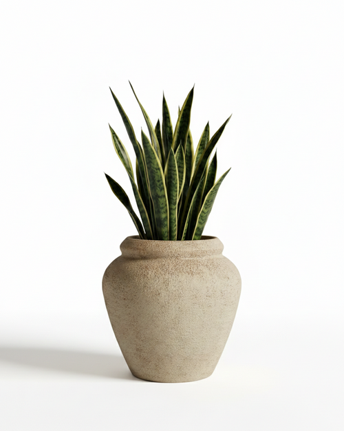 Broom Traditional Fiberglass Planter – Terra