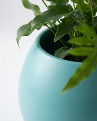 Ball Fiberglass Planter – Mint Turquoise Matt Finish