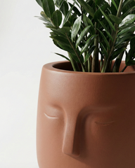 E-Pot B Fiberglass Planter – Terracotta Finish