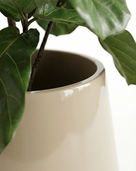 Star Fiberglass Planter – Modern Neutral Finish
