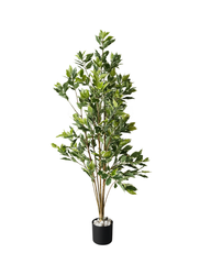 Artificial Compact Ficus Tree 150cm (5ft)