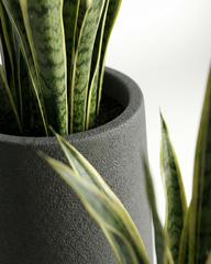 Flax Fiberglass Conical Planter – Grey | Modern Tapered Silhouette