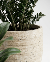 Elara Curved Ribbed Fiberglass Planter – Ivory Stone Textured Finish
