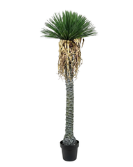 Artificial Palm Crown Tree 150cm (5ft, 6ft, 7ft, 8.6ft)