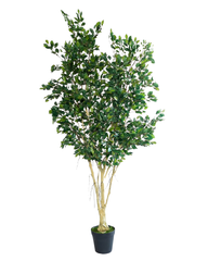 Artificial Grand Green Ficus Tree 250cm (8.2ft)