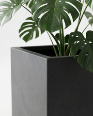 Cube Fiberglass Planter – Modern Square Matte Finish Planter