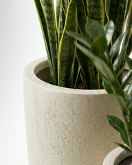 Small Shark Fiberglass Planter – Off White