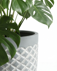 Vanila Fiberglass Round Planter – Textured Grey Finish