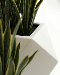 Diamond Fiberglass Planter – Matte White