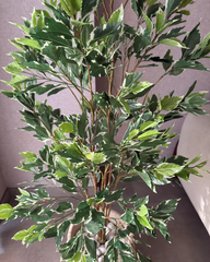 Artificial Compact Ficus Tree 150cm (5ft)