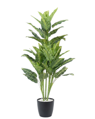 Artificial Aglaonema Color Plant 130cm (4.3ft)