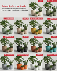 Vanila Fiberglass Round Planter – Textured Grey Finish