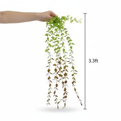 Artificial Hanging Ficus Leaf Garland - 3.3ft Green to Brown Gradient