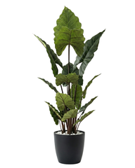 Artificial Alocasia Leaf Plant 180cm (5.9ft)
