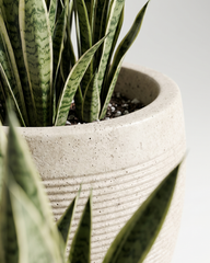 Vera Ribbed Fiberglass Planter – Desert Stone Textured Finish