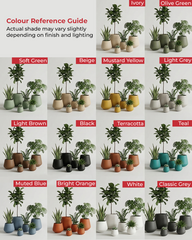 Star Fiberglass Planter – Modern Neutral Finish