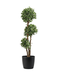 Artificial Tiered Ficus Topiary 150cm (5ft)