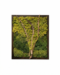Artificial Moss Tree Wall Panel Decor 33 Inch x 27 Inch