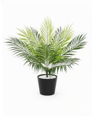 Artificial Areca Palm Plant 50cm (1.6ft)