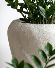 Aurelia Twist Fiberglass Planter – Ivory Sand Textured Finish