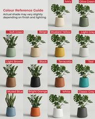 Zombi Fiberglass Planter – Earthy Matte Finish