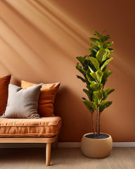 Artificial Fiddle Leaf Fig Plant in Black Pot (140 cm)