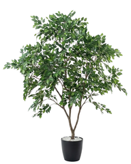 Artificial Lush Ficus Tree 210cm (6.9ft)