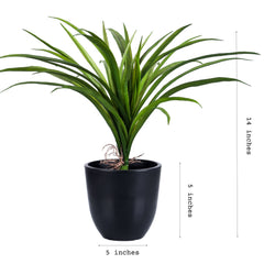 Artificial Grass Plant