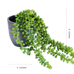 Artificial Hanging Succulent Vine (46 cm)