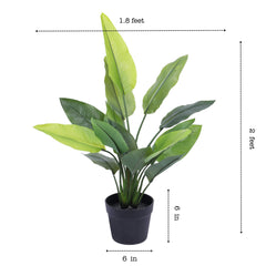 Artificial Banana Potted Plant (70 cm)