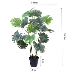 Artificial Fan Palm in Black Pot (160 cm)