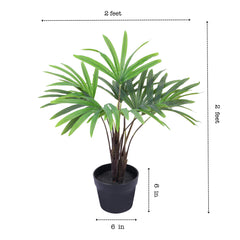 Artificial Rhapis Palm (60 cm)